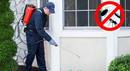 Gülağaç Fare İlaçlama böcek ilaçlama ve haşere kontrolü — ilaclama-tr.com